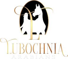 Lubochnia Arabians - logo