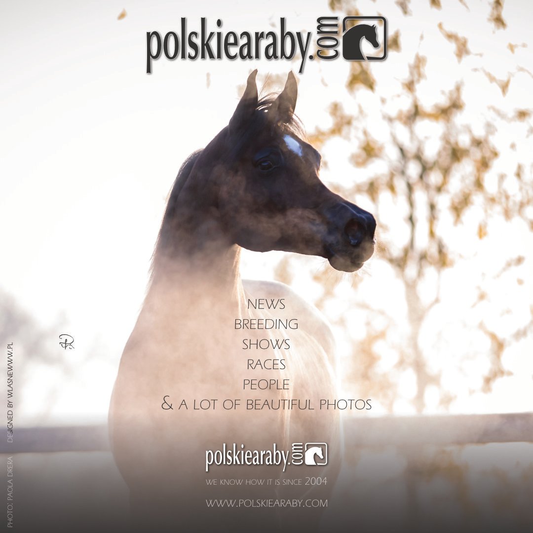 polskiearaby.com
