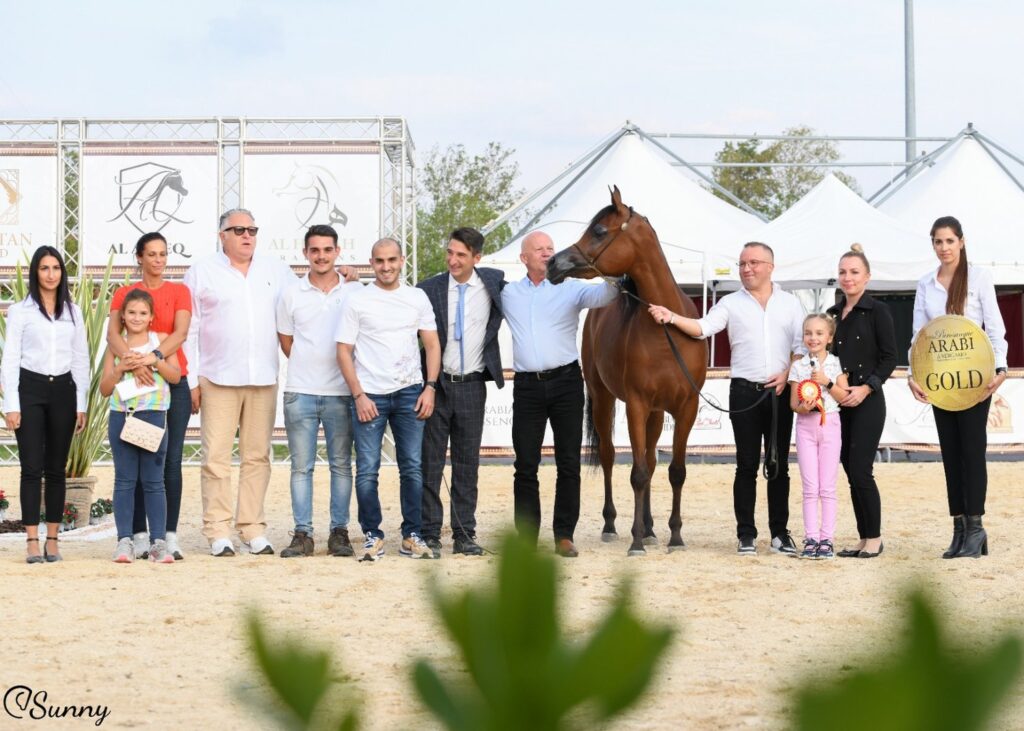 Two medals for our mares in Bergamo!, by Sunny